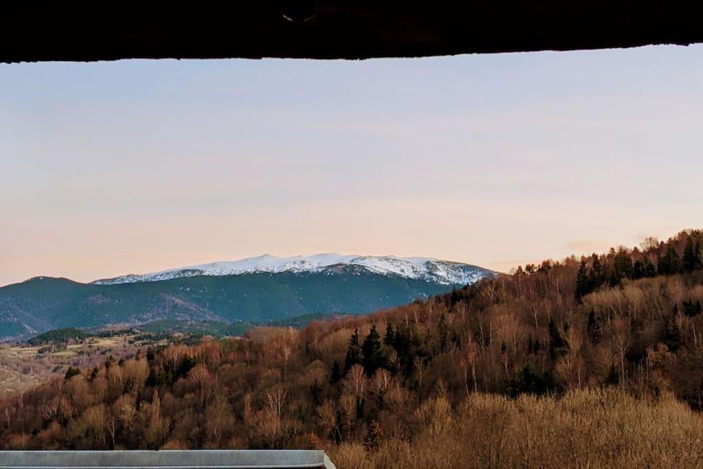 Grand Au Coeur Des Pyrenees - Ariege