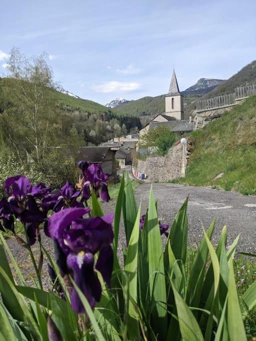 Grand Au Coeur Des Pyrenees - Ariege *