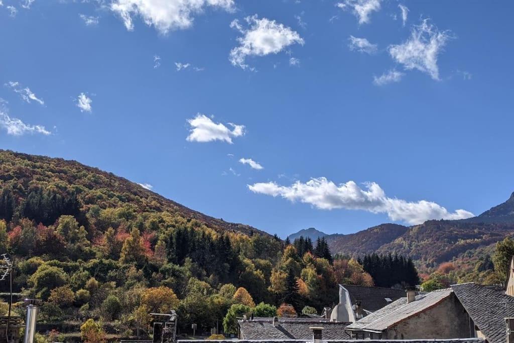 Chalet Grand Au Coeur Des Pyrenees - Ariege *